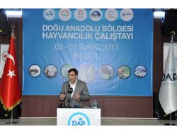 Bakan Yılmaz: Kamu Yatırımlarında 4 Bölgeye Öncelik Veriyoruz