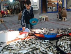 Rize Su Ürünleri Kooperatifi Başkanı Rakıcı: Karadeniz'de Balık Çeşitleri Azalıyor