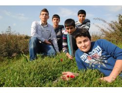 Öğrenciler Yarı Yıl Tatilinde Bölgelerinde Yetişen Bitki Türlerini Tanıyor