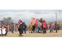 Pelitköy Arenasındaki Deve Güreşleri Kıran Kırana Geçti