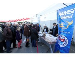 İzmir'de 10 Tonluk Hamsi Şöleni