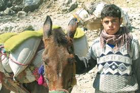 Dört kutu mamaya 3.5 yıl hapis