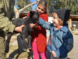 İzmir Doğal Yaşam Parkı Yarıyıl Tatilinde Çocuklarla Doldu