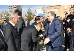 İçişleri Bakanı Güler, Midyat’ta Kurbanlar Kesilerek Karşılandı