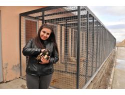 Rehabilitasyon Merkezi Kapasite Artırıyor