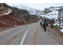 Tunceli'de Operasyonlar Devam Ediyor