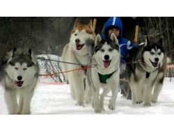 Rusya’nın En Soğuk Bölgesi Çukotka'dan Renkli Görüntüler