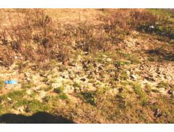 Vatandaştan Pis Su Tepkisi