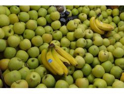 Lifli Bitkiler, Vücudu Kanser Riskine Karşı Koruyor