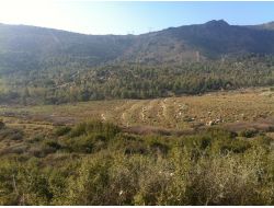 Karşıyaka'nın Elektriği Güneş Tarlası'nda Üretilecek