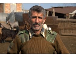 Kıbrıs'ta Et Kaçakçılığı Piyasa Dengesini Bozdu