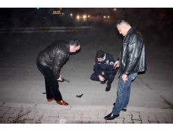 Yol Ortasında Bulunan Silah İncelemeye Gönderildi