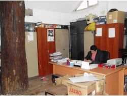 Asırlık Çam Ağacı, Oda Arkadaşları