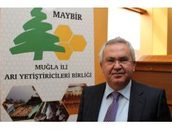 Muğla Balı 'Maybir' Olarak Piyasada...