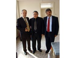 İstanbul’da Yılda 2 Bin Ton Bal Üretiliyor