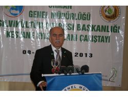 Bu Sene 100 Bin Kestane Fidanı Toprakla Buluşacak