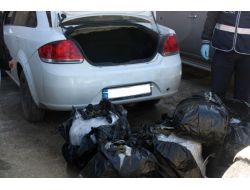 Mardin’de 85 Kilo Esrar Ele Geçirildi