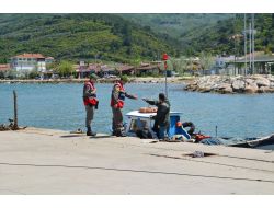 Jandarma Operasyon Yaptı, Bir Ton Midye Yakaladı!