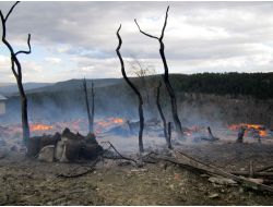 Karabük'te Yangın: 8 Ev Yandı, 8 Büyükbaş Hayvan Telef Oldu