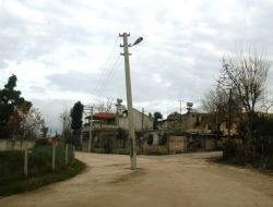 Yol Ortasında Kalan Direk Tehlike Saçıyor
