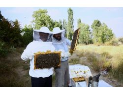 Orman Köylülerini Kalkındırmak İçin Verilen Kredi Oranı Artırıldı