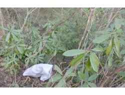 Dengesini Kaybeden Yaşlı Kadın Uçuruma Yuvarlandı