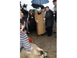 Cübbeli Hoca Kurban Kesilerek Karşılandı