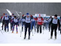 Rusya’da Köpek Çuça Ve 25 Bin Kişi Birlikte Kaydı