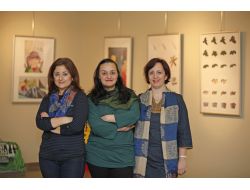 Turizmde Güldüren Şikayetler: Odamdan Kurbağa Çıktı