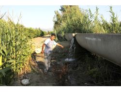 Doğurduğu Bebeği Sulama Kanalına Attığı İddia Edilen Kadına 16 Yıl 8 Ay Hapis