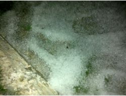 Silifke'de 5 Dakika Süren Dolu Ekili Alanlara Zarar Verdi