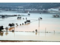 Muğla'da Göle Dönen Tarlalarda Hasar Tespit Çalışmasına Başlandı