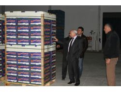 Milletvekili Ali Küçükaydın: Narenciye Altın Çağını Yaşıyor