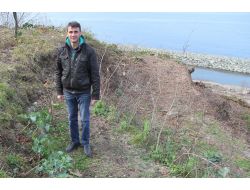 Bin Yıllık Kalede Lahana Yetiştiriyorlar