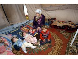 SURİYELİ ÜÇÜZLER SÜT VE MAMA BEKLİYOR