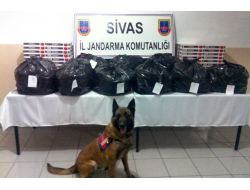 Sivas’ta Esrar Ve Kaçak Sigara Operasyonu