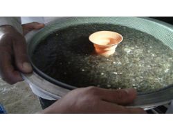 Sağım Öncesi Strese Giren Alabalıklar Özel Bakıma Alınıyor