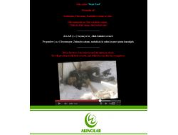 Esed Yanlısı Teleyizyon Sitesi Hack'landı!