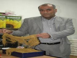 Bitlis'li Tütün Üreticilerinden Başbakana 'ona Minute'lü Çağrı