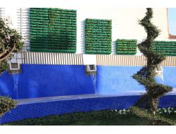 Güngören Belediyesi, İlçede 'Dikey Yeşillendirme' Projesi Uygulamaya Başladı