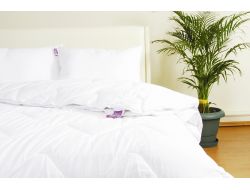 İşbir’den Yastık Ve Yorgan Alana İpek Eşarp Hediye