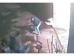 Kamera Önünde Maske Takıp Güvercin Çaldı