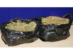 Esrar Taşıyan Yolcuyu Heyecanı Ele Verdi