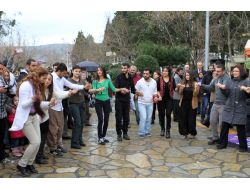 Muğla'da Kadına Şiddet Dansla Protesto Edildi