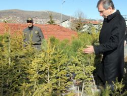 Vali Yazıcı: Yozgat’a Geçen Yıl 4 Milyon 846 Bin Ağaç Dikildi