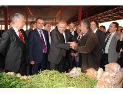 Gürsel Tekin: Ankara'daki Domuzların Sorumluluğu Bana Ait