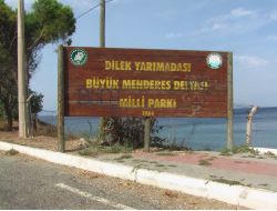 Milli Park'taki Jitem Kazısına Yağmur Engeli