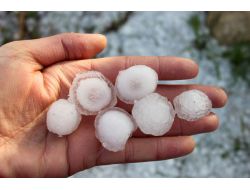 DOLU ÇİÇEKLERİ DÖKTÜ