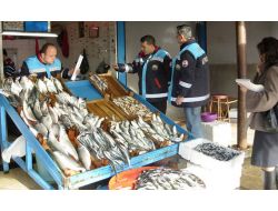 Küçük Avlanan 60 Ton Hamsiye El Konuldu