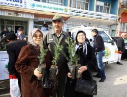 Orman Köylülerine Ürün Veren 5 Bin Fidan Dağıtıldı